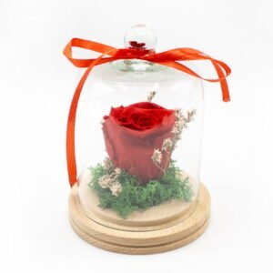 Cupolă cu trandafir criogenat roșu 1-8 Martie