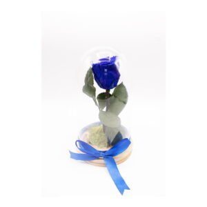 Cupolă cu trandafir criogenat Blue Rose 1-8 Martie