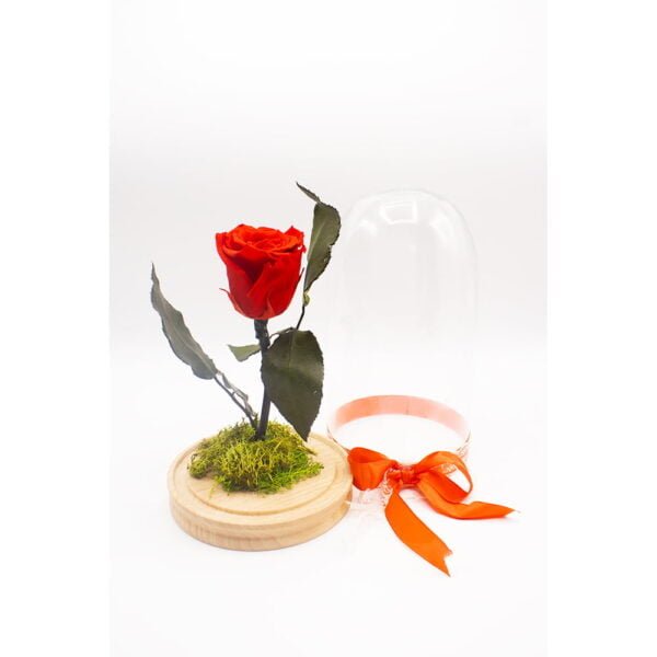 Cupolă cu trandafir criogenat Red Rose Personalizeaza