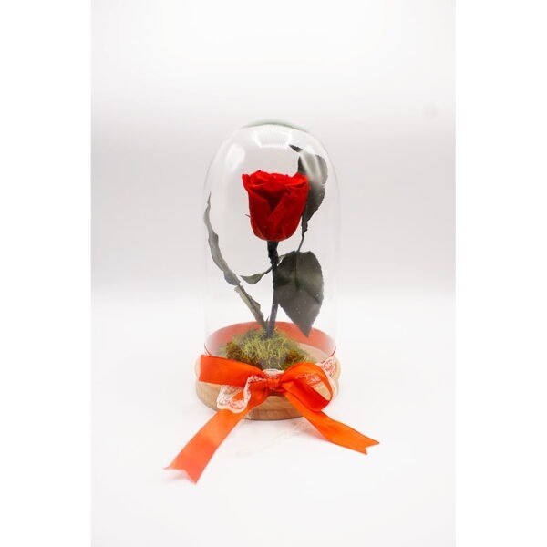 Cupolă cu trandafir criogenat Red Rose Personalizeaza