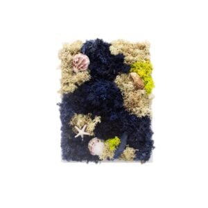 Tablou cu licheni Sufletul Mării 20×25 cm Casă și grădină