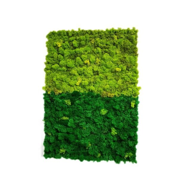 Tablou cu licheni personalizat Green Beauty 55×65 cm Personalizeaza