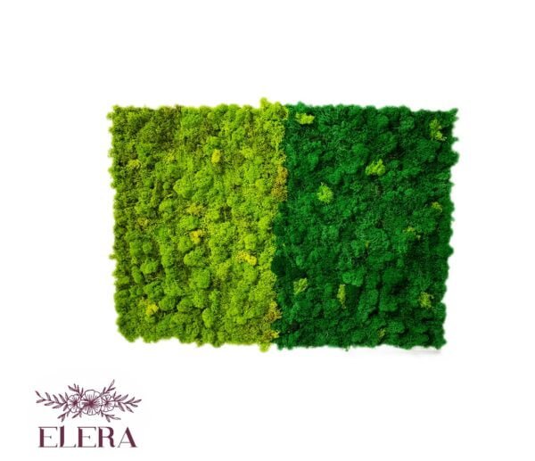 Tablou cu licheni personalizat Green Beauty 55×65 cm Personalizeaza