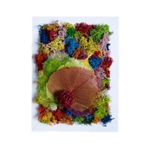 Tablou cu licheni Multicolor 20×25 cm Casă și grădină