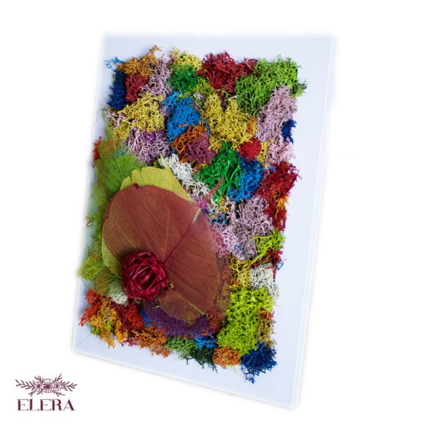 Tablou cu licheni personalizat Multicolor 13×18 cm Personalizeaza