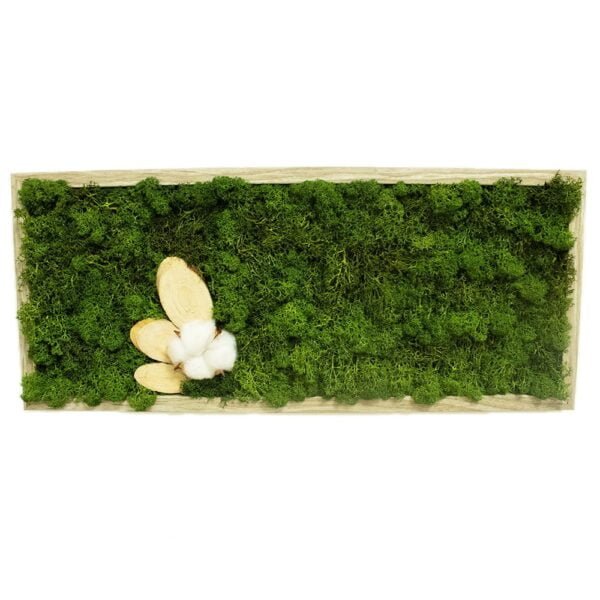 Tablou cu licheni personalizat cu bumbac și rondele de lemn  Verde 23x43cm Personalizeaza