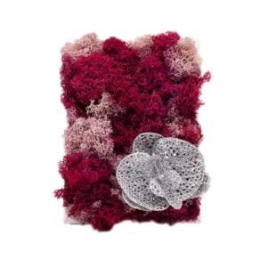 Tablou cu licheni Iubire de Copil 25×30 cm Cadouri speciale