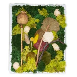 Tablou cu licheni Natură 20×25 cm Casă și grădină