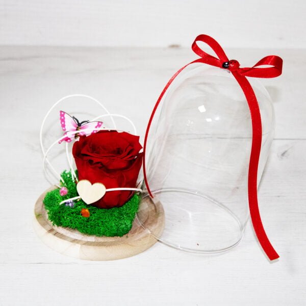 Cupolă cu trandafir criogenat Valentine Cadouri femei