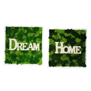 Set tablouri cu licheni Dream Home 42×43 cm Casă și grădină