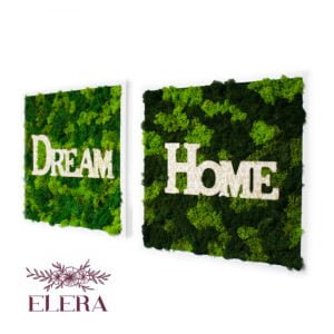 Set tablouri cu licheni Dream Home 42×43 cm Casă și grădină