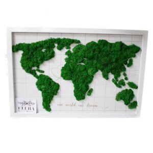 Tablou cu licheni Harta Lumii 40×60 cm Casă și grădină