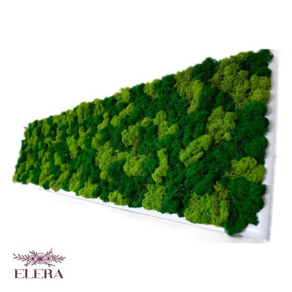 Tablou cu licheni personalizat Iubire de Natură 30×120 cm Personalizeaza