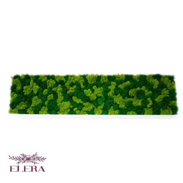 Tablou cu licheni personalizat Iubire de Natură 30×120 cm Personalizeaza