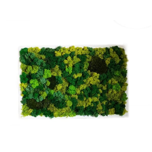 Tablou cu licheni personalizat Culori de Verde 40×60 cm Personalizeaza