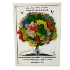 Tablou cu licheni Viață Școlară 25×30 cm Cadouri pentru profesori, învățători, educatori