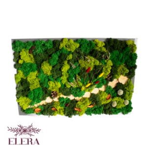 Tablou cu licheni și plante uscate 40×60 cm Cadouri speciale
