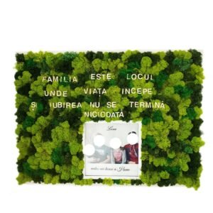 Tablou cu licheni Nași și Fini 25×30 cm Cadouri pentru nasi