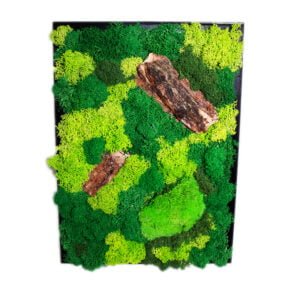 Tablou cu Licheni  personalizat cu  Mușchi bombați și Scoarță de copac 25×30 cm Personalizeaza