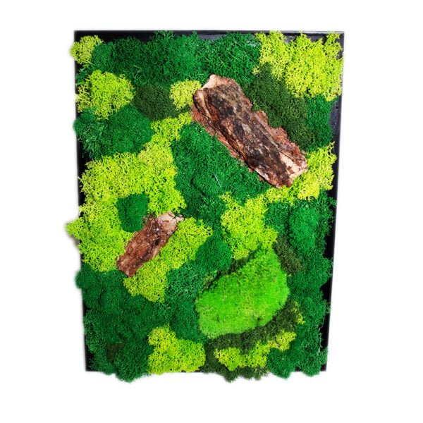 Tablou cu Licheni, Mușchi bombați și Scoarță de copac 25×30 cm Personalizeaza