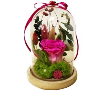 Cupolă cu Trandafir criogenat Roz și licheni Cadouri de Valentine's Day