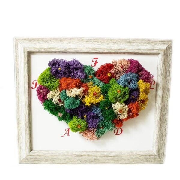 Tablou cu licheni Inimă Colorată 25×30 cm Cadouri personalizate