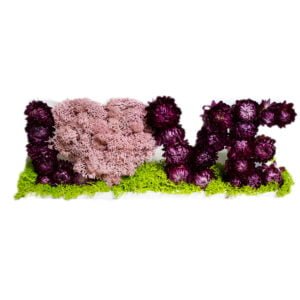 Decorațiune cu licheni LOVE Personalizeaza
