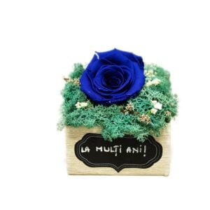 Aranjament cu licheni si trandafir criogenat albastru 12×12 cm Cadouri de Valentine's Day