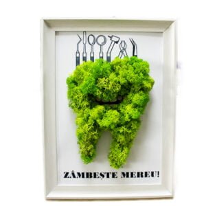 Tablou cu licheni verde deschis personalizat Zâmbește Mereu 21×30 cm Cadouri pentru medici/farmaciști