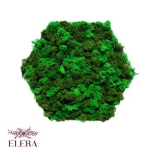 Tablou cu licheni  personalizat în nuante de verde Hexagon  34 cm Personalizeaza