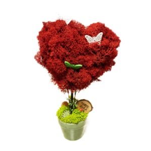 Copac în formă de inimă personalizat cu licheni roșii și text gravat  6×25 cm Cadouri pentru familie