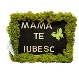 Tablou cu licheni personalozat Mama 15×20 cm Tablou licheni mama