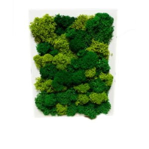Tablou cu licheni personalizat Verde 15×20 cm Tablou licheni baie