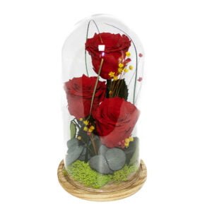 Cupolă cu 3 trandafiri criogenați roșii 10×25 cm Personalizeaza
