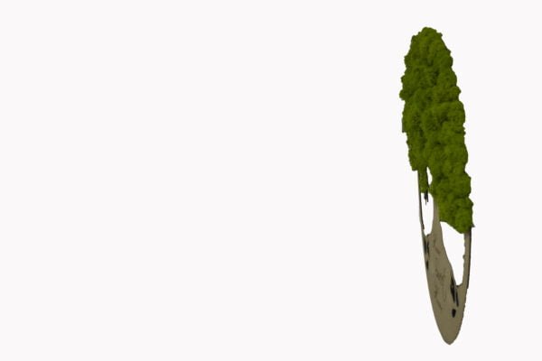 Copac cu licheni Casă dulce casă 55 cm Cadouri personalizate