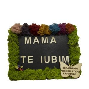 Tablou cu licheni Mama 1 15×20 cm Cadouri pentru mama