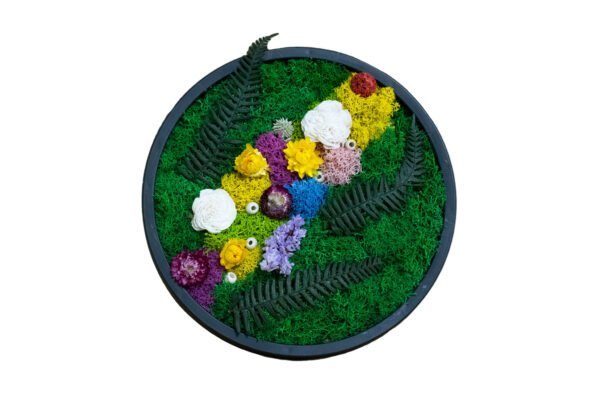 Tablou cu licheni și plante uscate Cerc 26 cm Cadouri pentru familie