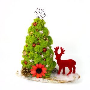 Brad din licheni cu ren, 25×30 cm Cadouri de Crăciun