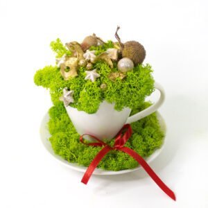 Decorațiune cu licheni si plante uscate aurii Set Ceașcă și farfurie 15×15 cm Decorațiuni