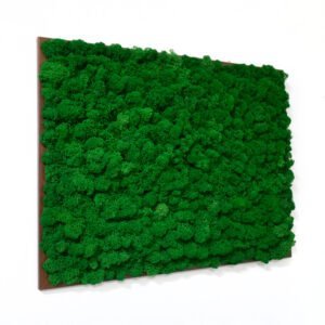 Tablou cu licheni Verde 2 – 45×60 cm Noutăți