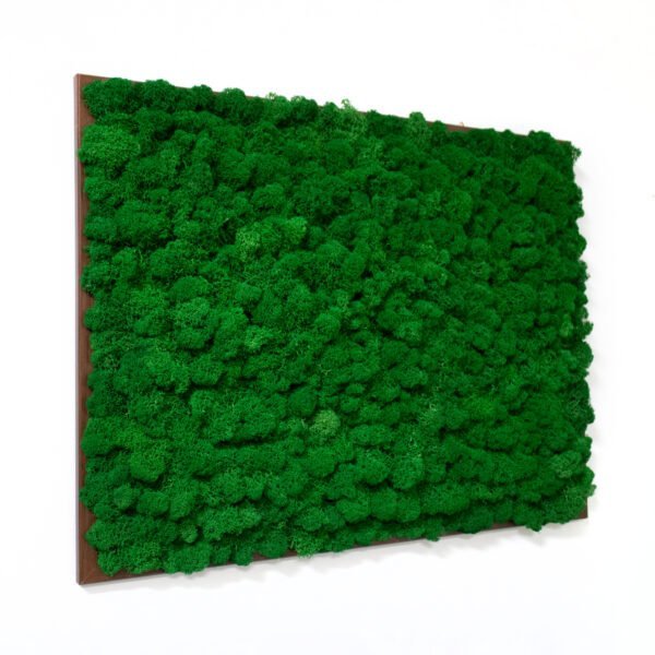 Tablou cu licheni personalizat cu Verde Broccoli- 45×60 cm Tablou licheni baie