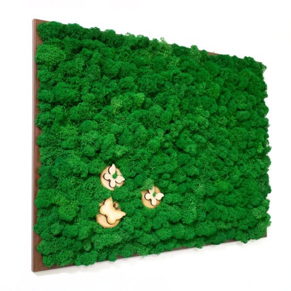 Tablou cu licheni personalizat cu  Verde broccoli si rondele lemn – 45×60 cm Cadouri pentru familie