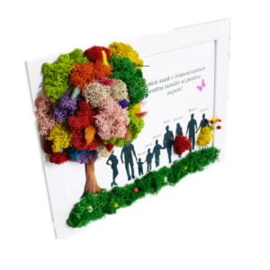 Tablou cu licheni personalizat Familia și Bunica  25×30 cm Cadouri pentru bunici