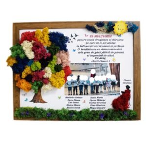 Tablou cu licheni personalizat Fluture pentru Doamna Învățătoare 30×40 cm Cadouri pentru profesori, învățători, educatori