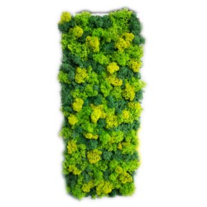 Tablou cu licheni personalizat în nuanțe de verde 20×50 cm Tablou licheni baie