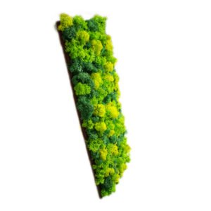 Tablou cu licheni personalizat în nuanțe de verde 20×50 cm Tablou licheni baie