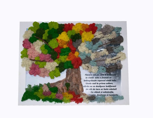 Tablou cu licheni personalizat Copac Anotimpuri 30×40 cm Cadouri aniversare căsătorie